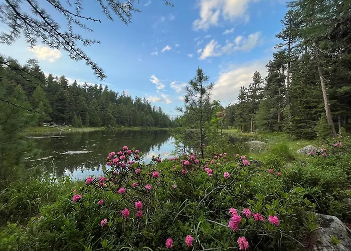 Apartman Chesa Munteratsch 2-zimmerwohnung 301 Typ E