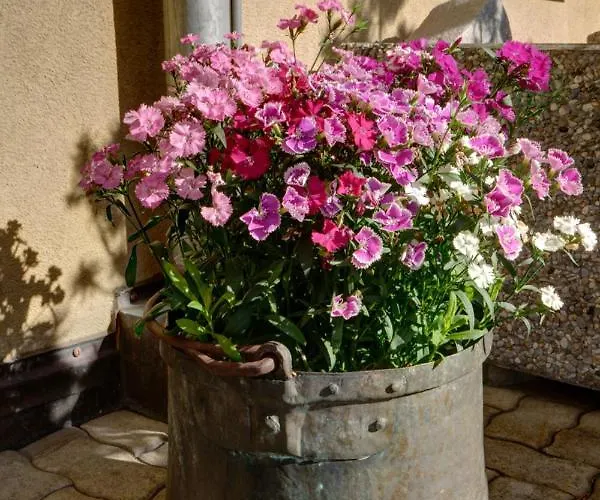 Chesa Munteratsch 2-zimmerwohnung 301 Typ E Apartman