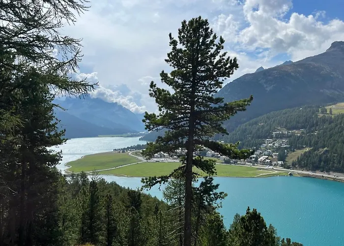 Apartman Chesa Munteratsch 2-zimmerwohnung 301 Typ E Silvaplana