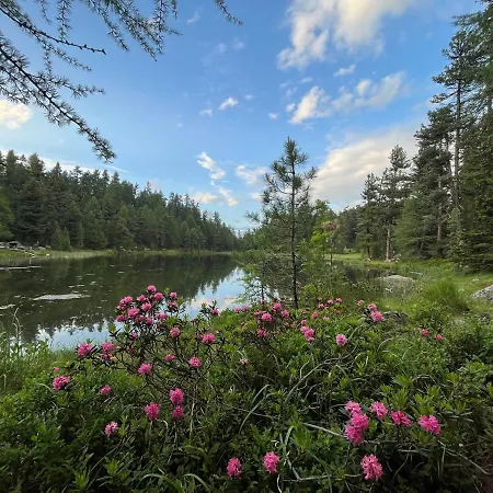 דירה Chesa Munteratsch 2-zimmerwohnung 301 Typ E