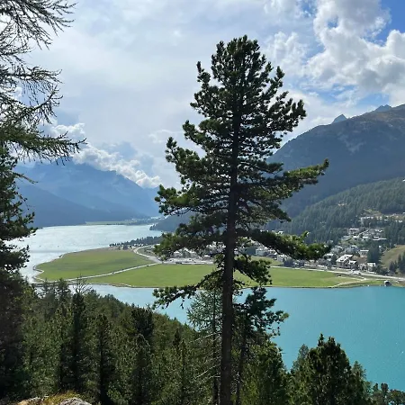 דירה Chesa Munteratsch 2-zimmerwohnung 301 Typ E סילבפלנה