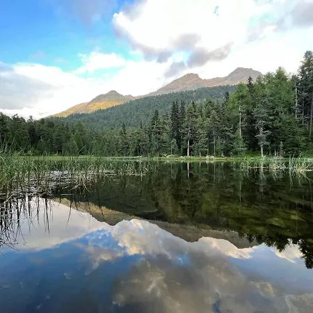 Chesa Munteratsch 2-zimmerwohnung 301 Typ E דירה *