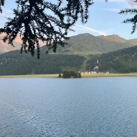 Chesa Munteratsch 2-zimmerwohnung 301 Typ E דירה *